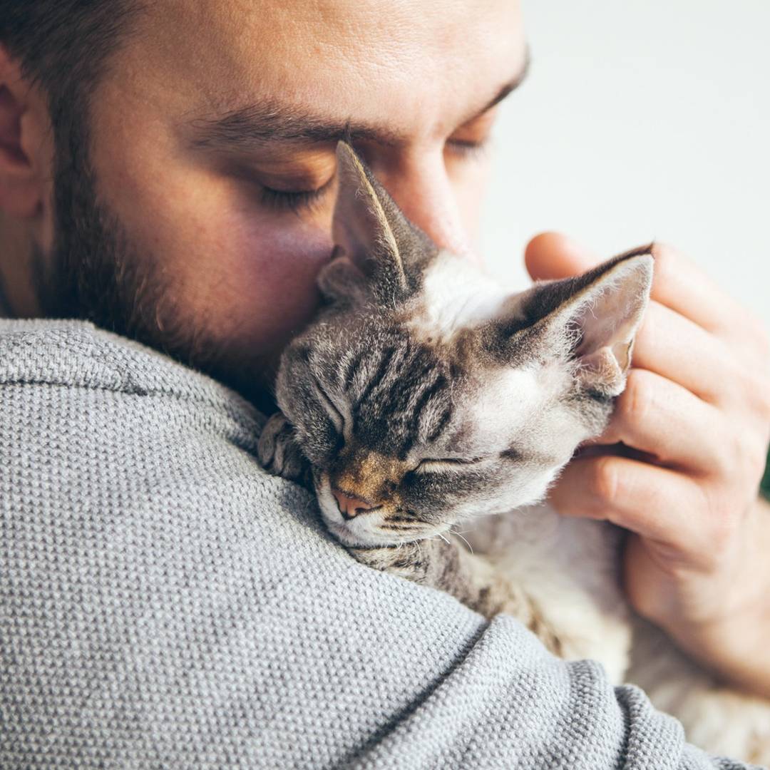 man hugging sleeping cat man hugging sleeping cat
