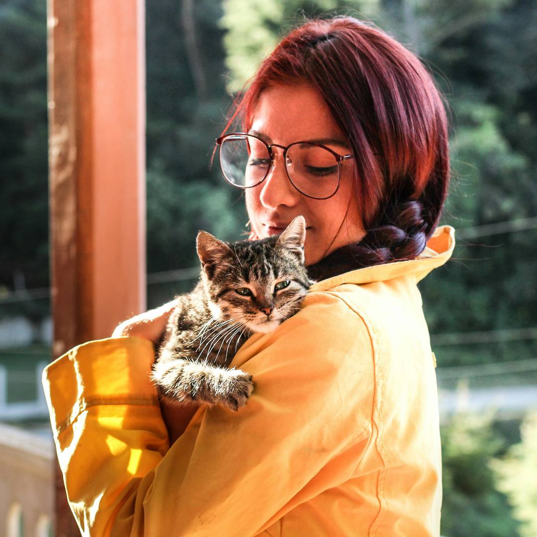 woman in glasses holding cat woman in glasses holding cat