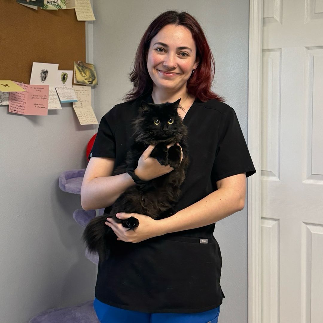 woman in scrubs holding cat